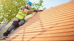Best Storm Damage Roof Repair  in Crane, MO