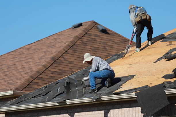 Best Gutter Installation and Repair  in Crane, MO