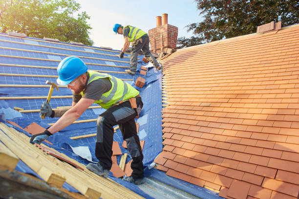 Best Asphalt Shingle Roofing  in Crane, MO